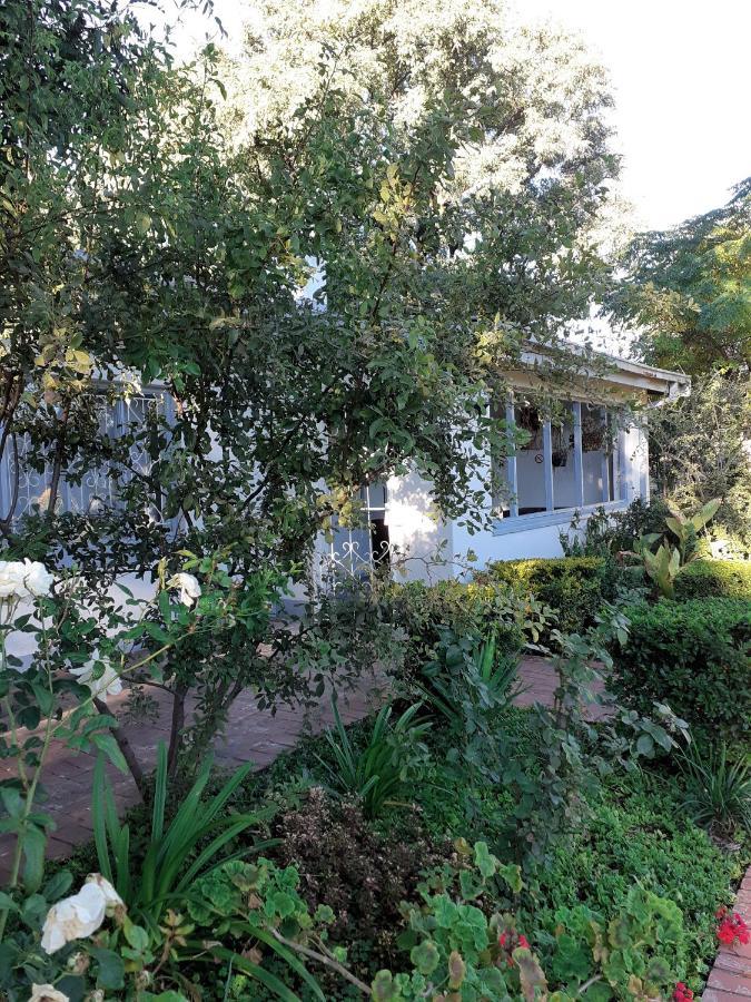 Driftwood Boutique Bed And Breakfast Lobatse 외부 사진
